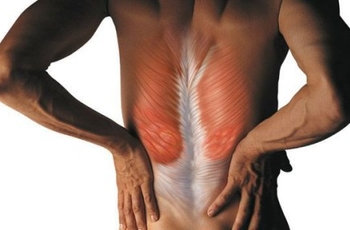 Вылечить растяжение мышц спины в домашних условиях thumbnail