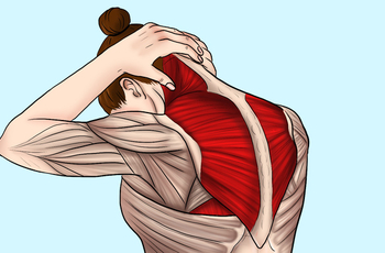Упражнения на шею с гантелями и Упражнения при шейном остеохондрозе по Бубновскому как правильно делать