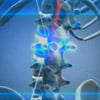 Причины воспалительных процессов в позвоночном столбе при болезни Бехтерева (заболевание суставов) точно неизвестны. Однако установлено, что значимую роль играет наследственность и нарушения в иммунной системе. Болезнь Бехтерева связана с воспалением прод