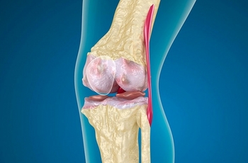 При возникновении боли в колене пациенты пытаются выяснить наличие конкретного недуга. Им может оказаться пателлофеморальный синдром колена. Несмотря на сложность диагностики, специалист сможет определить причину дискомфорта.